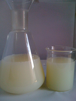 Inhibited Sulfamic Descalant Liquid-OLKLIN-DS-1 Prevents non-scheduled and unwanted shutdown of your plant and so improves profitability.