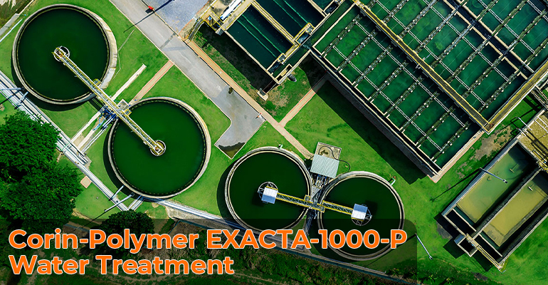 Corin-Polymer EXACTA-1000-P