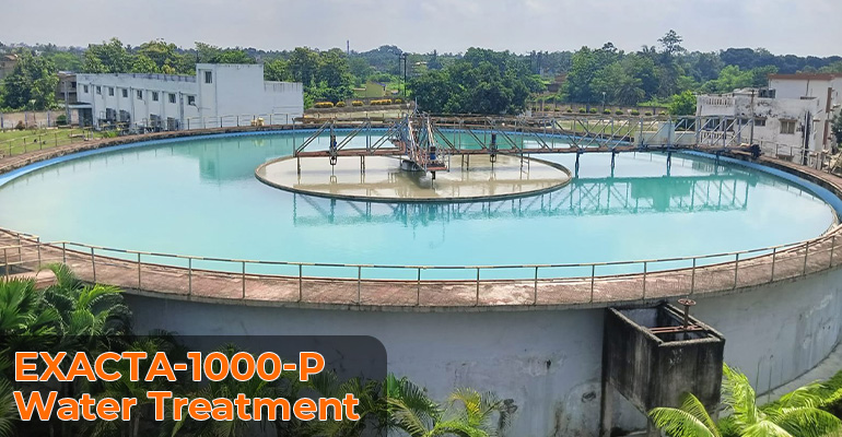 EXACTA-1000-P